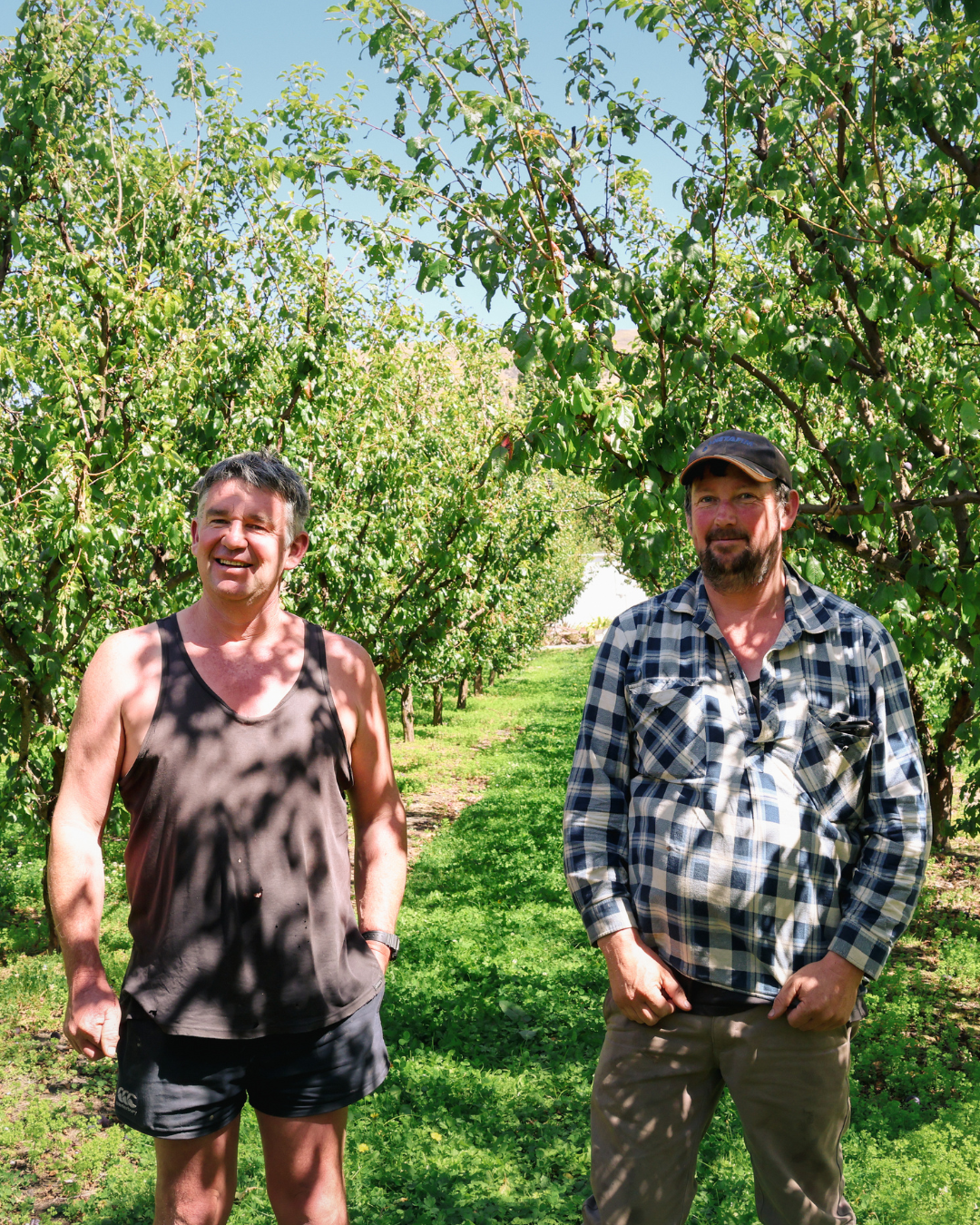 Barker's of Geraldine