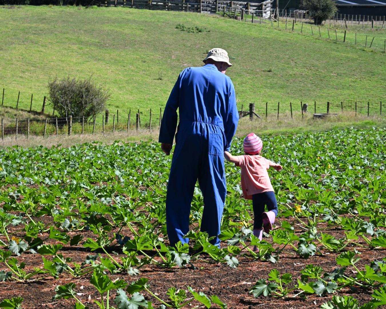 Barker's of Geraldine