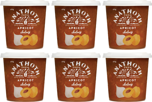 Apricot Chutney (6 pack)
