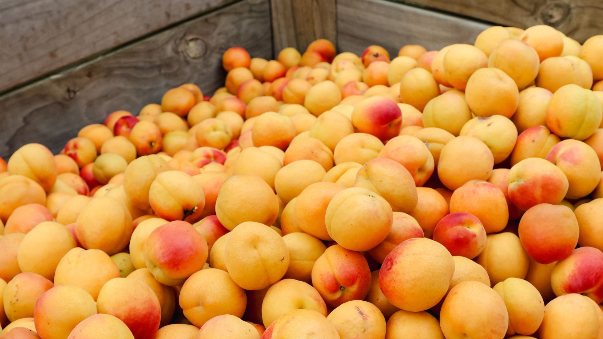 Barker's of Geraldine