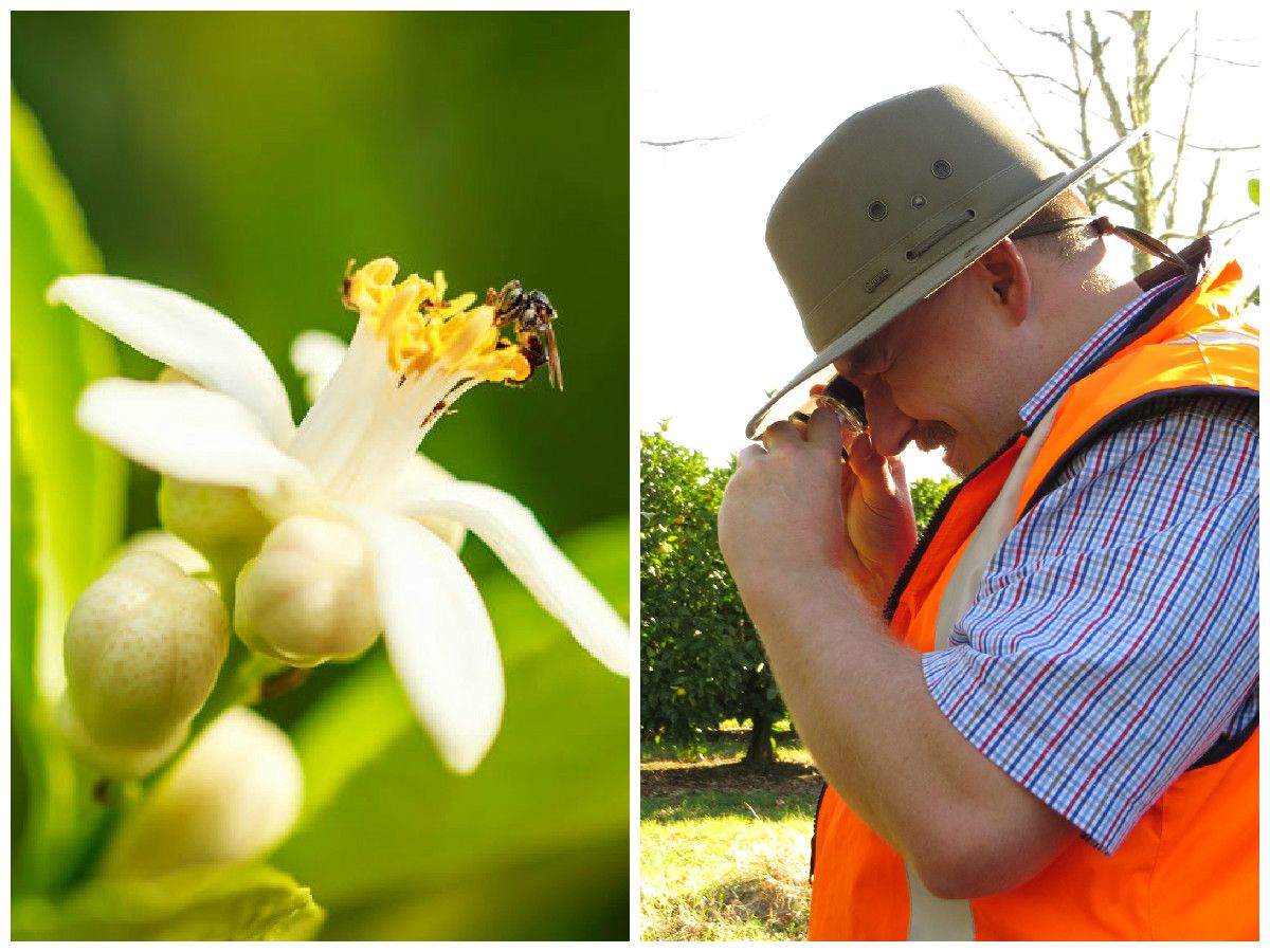 Barker's of Geraldine