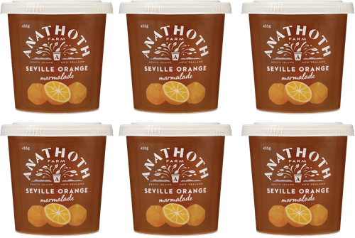Seville Orange Marmalade (6 pack)