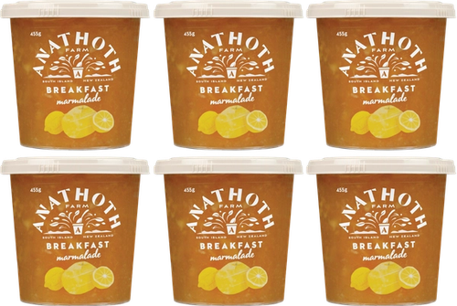 Breakfast Marmalade (6 Pack)