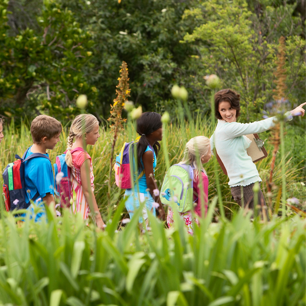 Beyond the Classroom: What Desha’s Law Means for Field Trip Safety