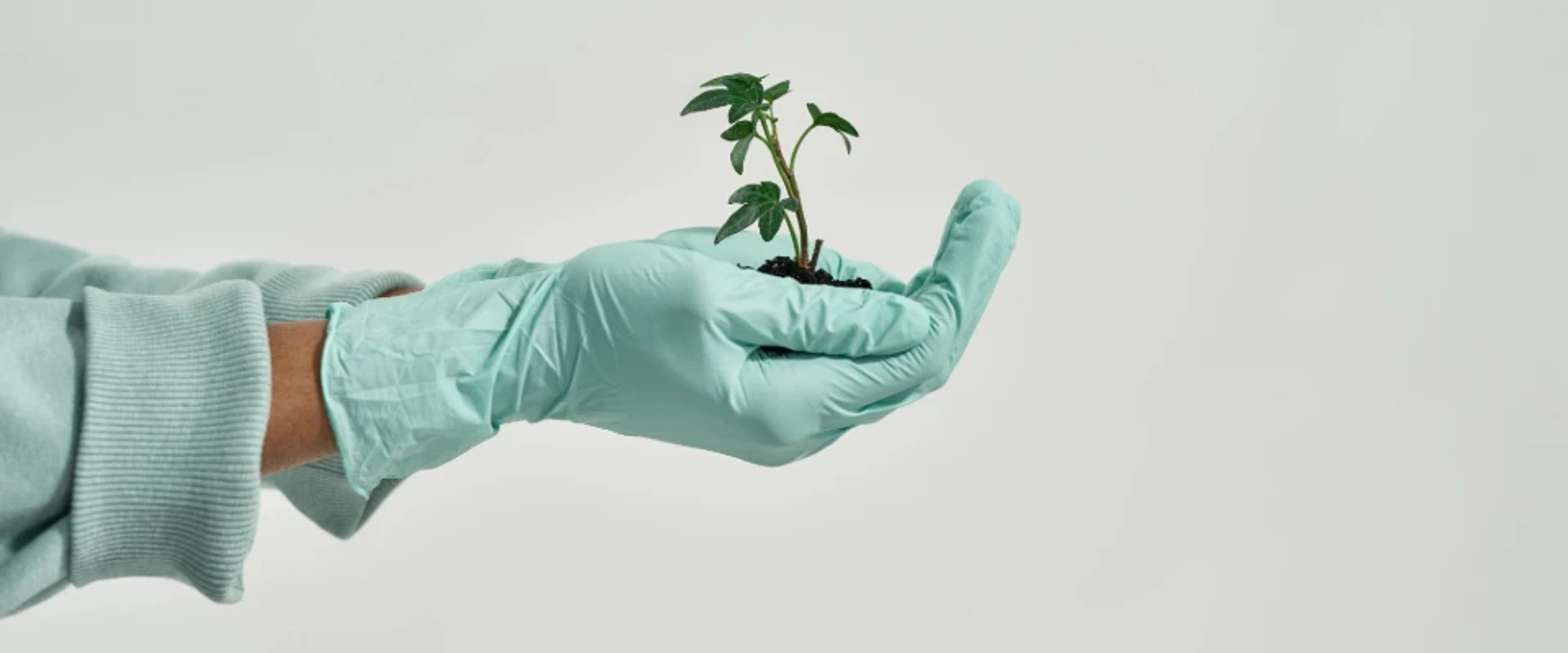 biodegradable nitrile
