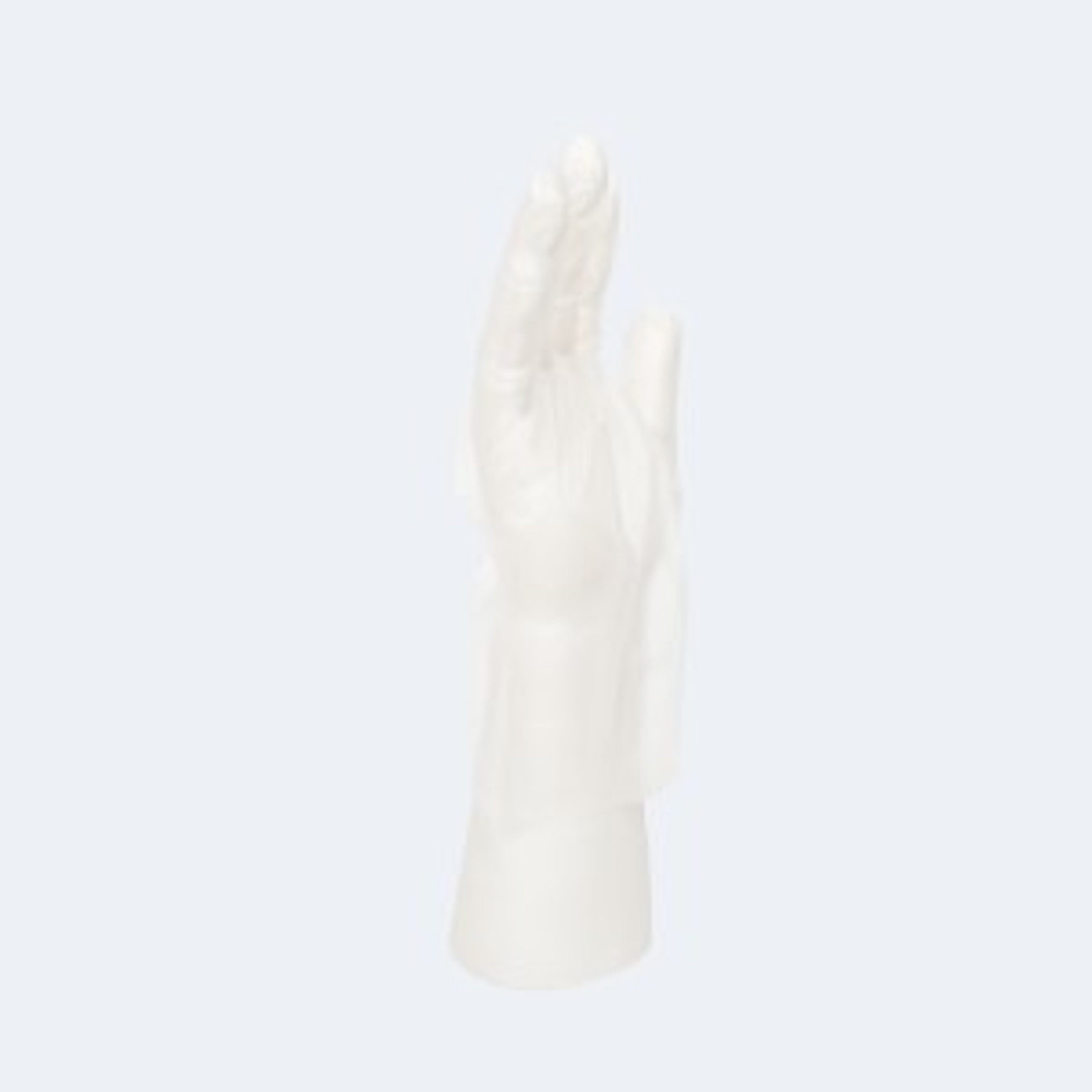 Intco Medical Disposable CPE Gloves