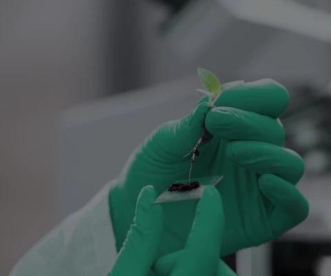 Agriculture and farming solutions industry