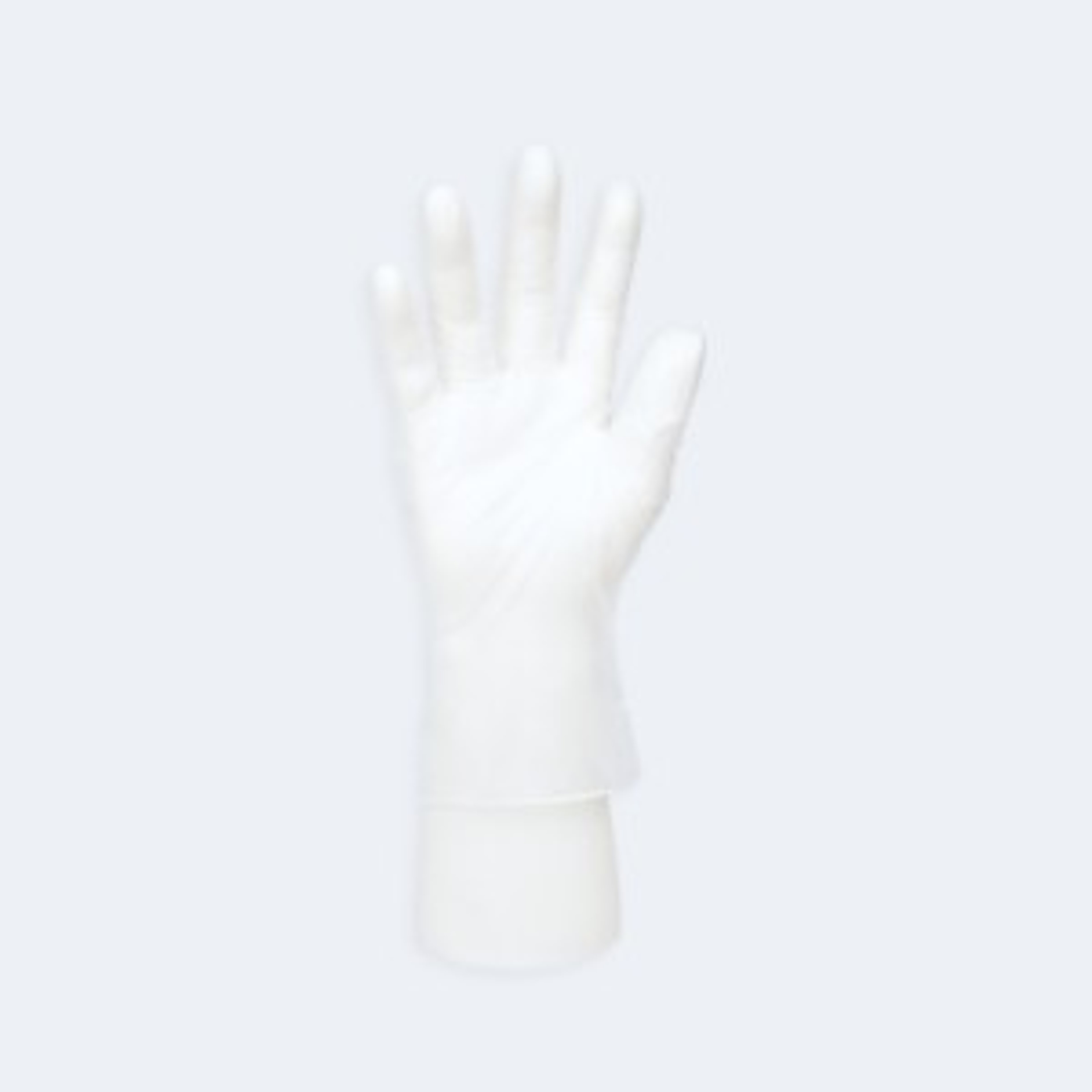 INTCO Medical Disposable Vinyl Gloves