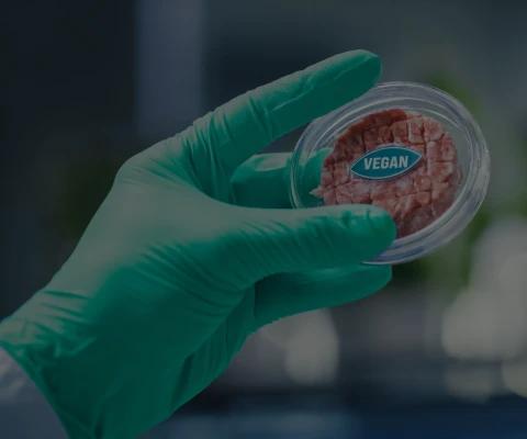 Food manufacturing and processing industry