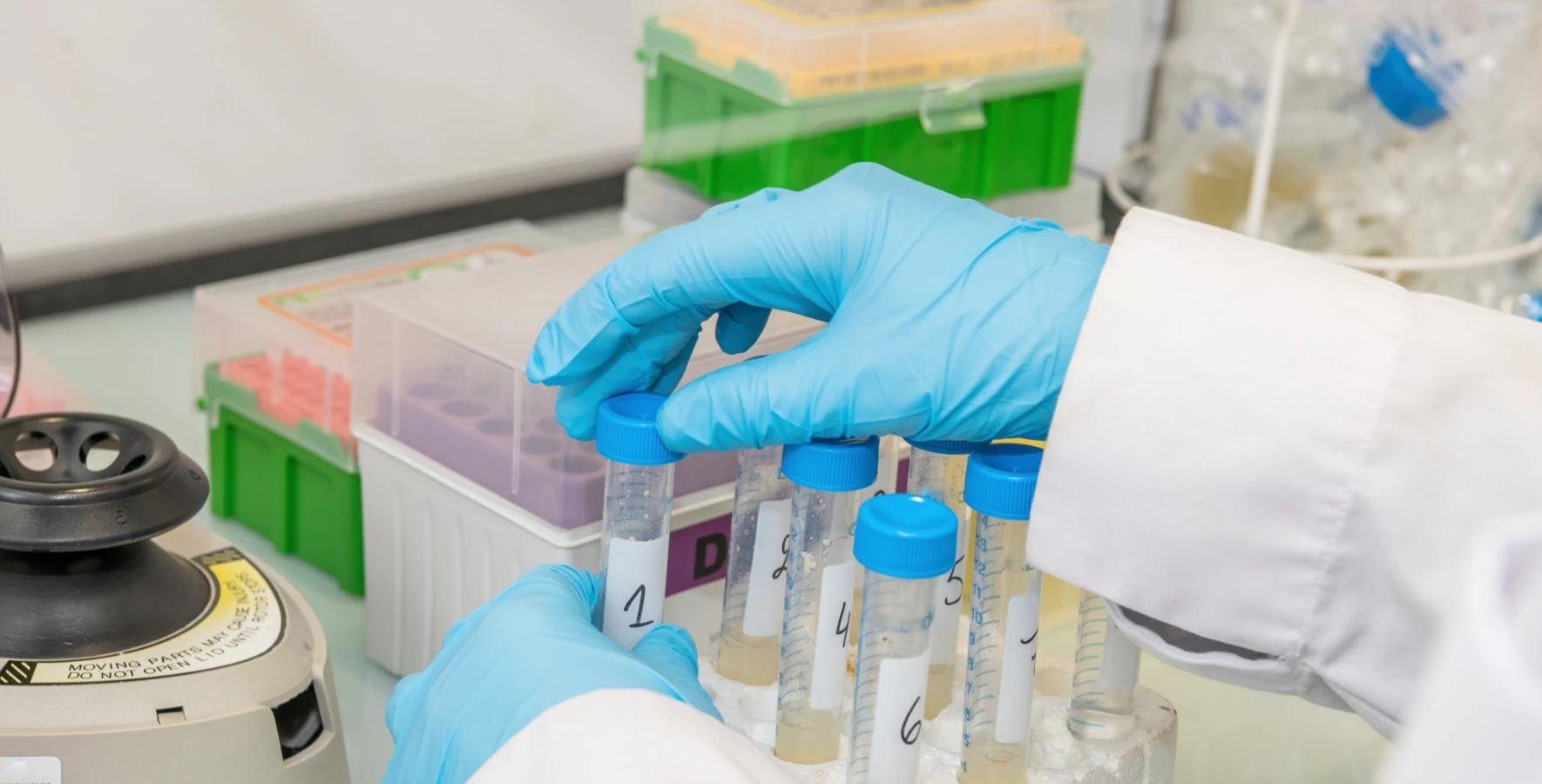 Considering the factors of epidemics, environmental considerations, and user comfort, we are constantly updating our glove materials and products.