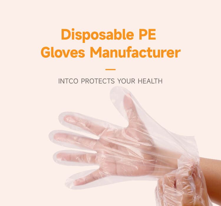 INTCO medical PE glove pc