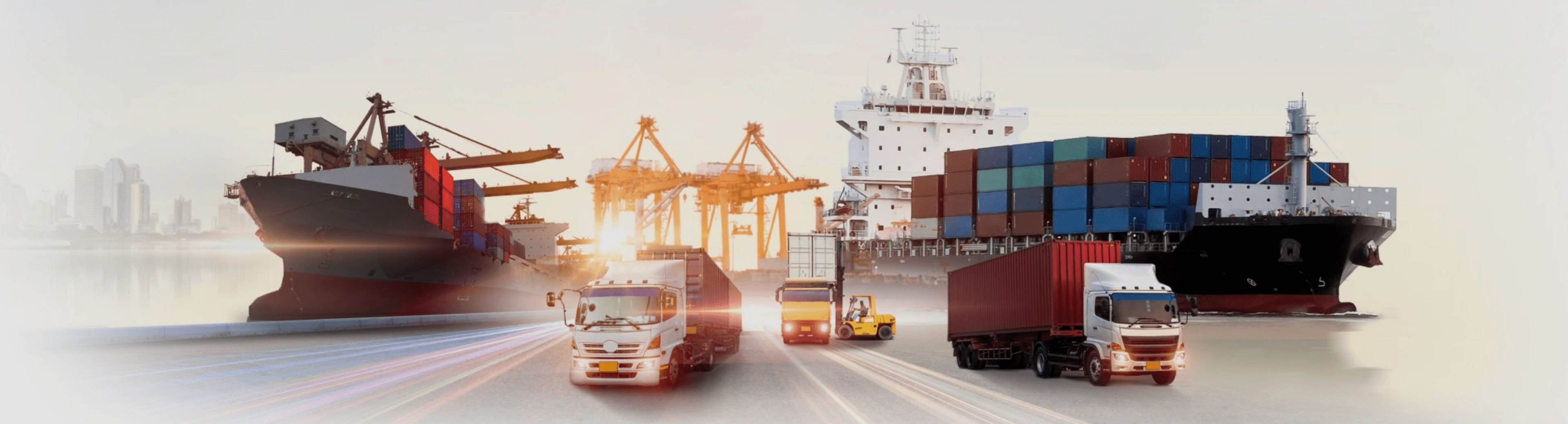 Efficient Supply Chain