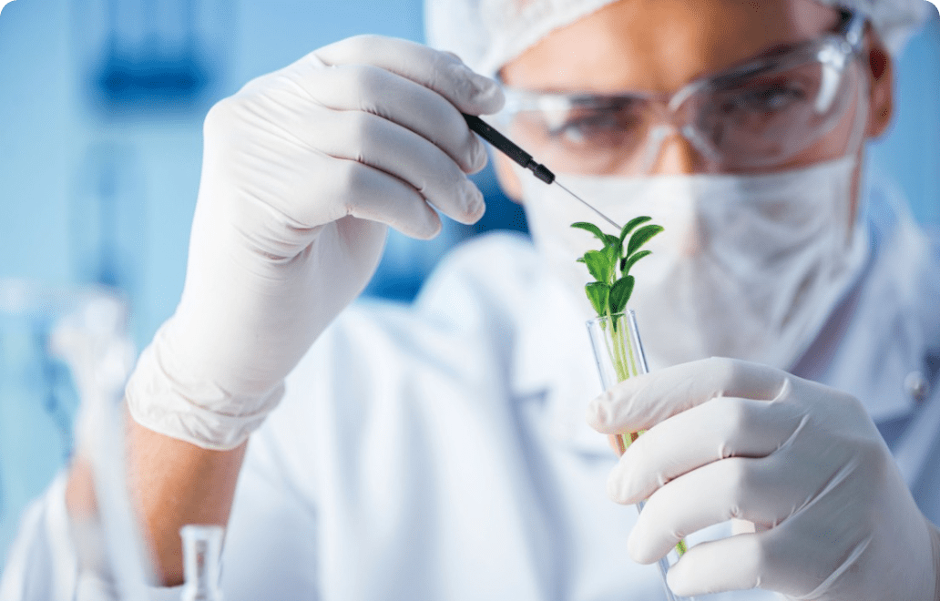 Life Sciences