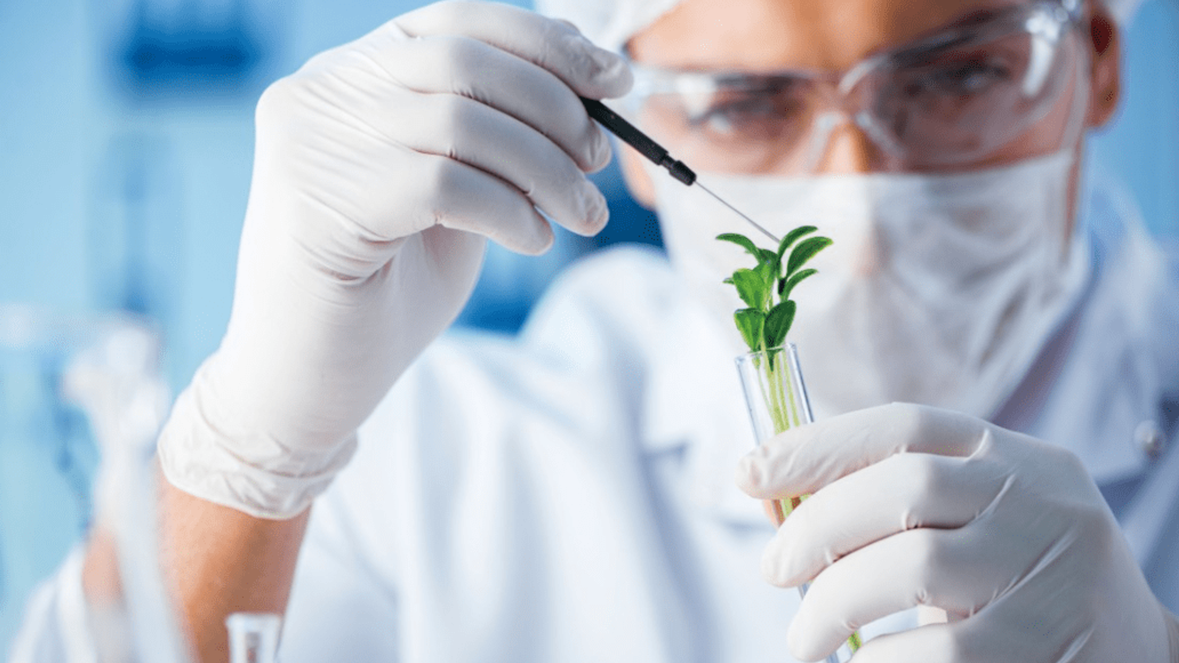 Life Sciences