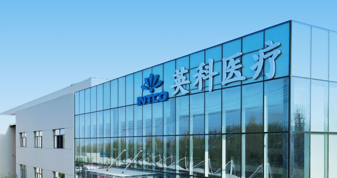 2010 Established disposable gloves manufactur