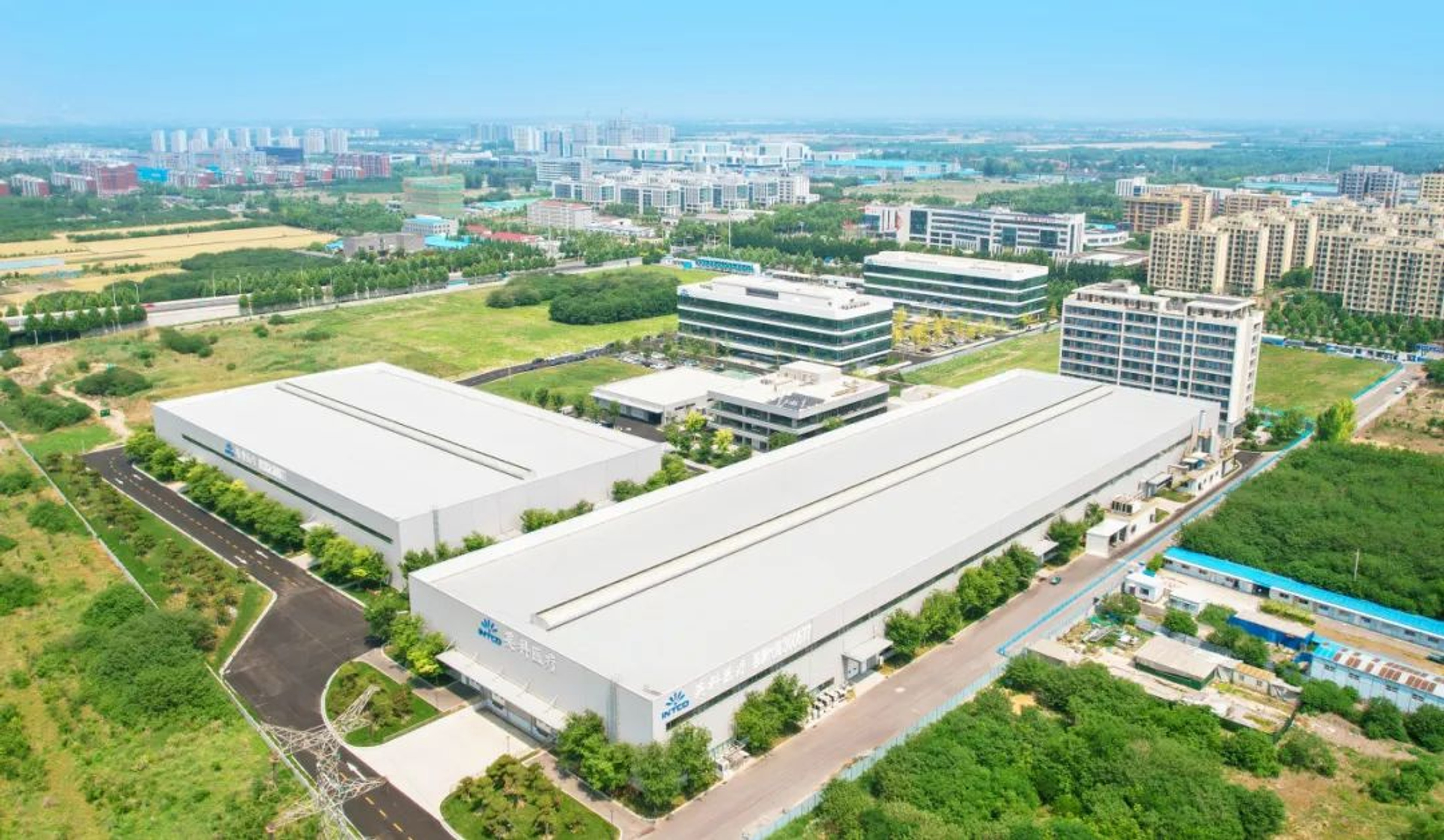INTCO Medical Tops Shandong 2025 Rankings as Leading Nitrile Gloves Innovator