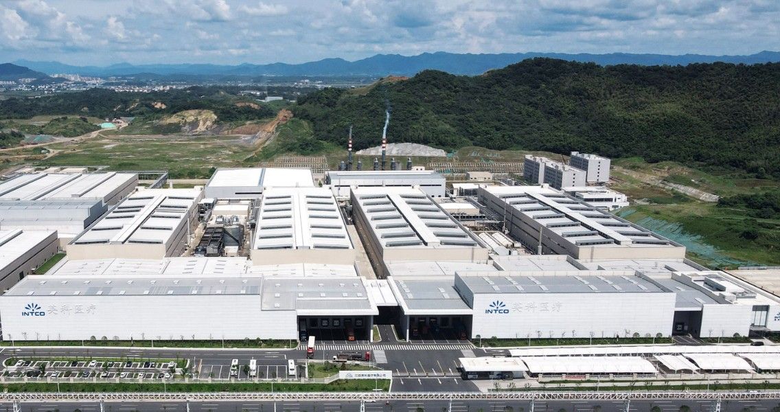 2020 Established disposable gloves manufactur