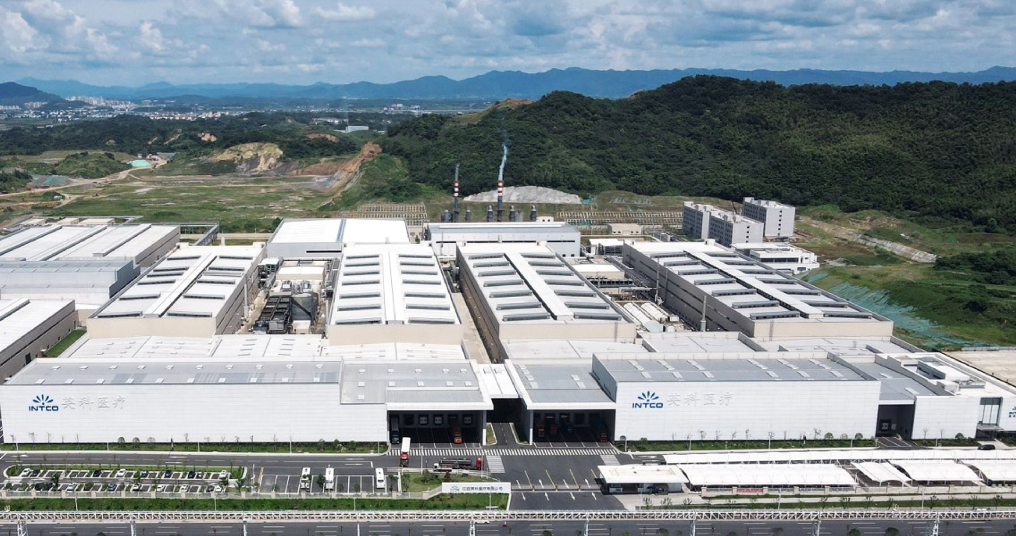 2020 Established disposable gloves manufactur
