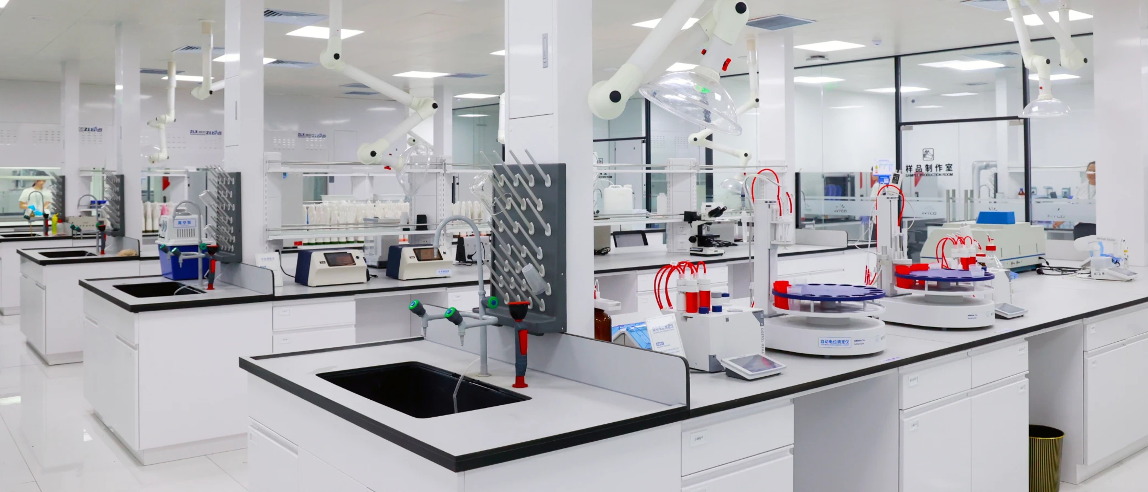 R&D Investment