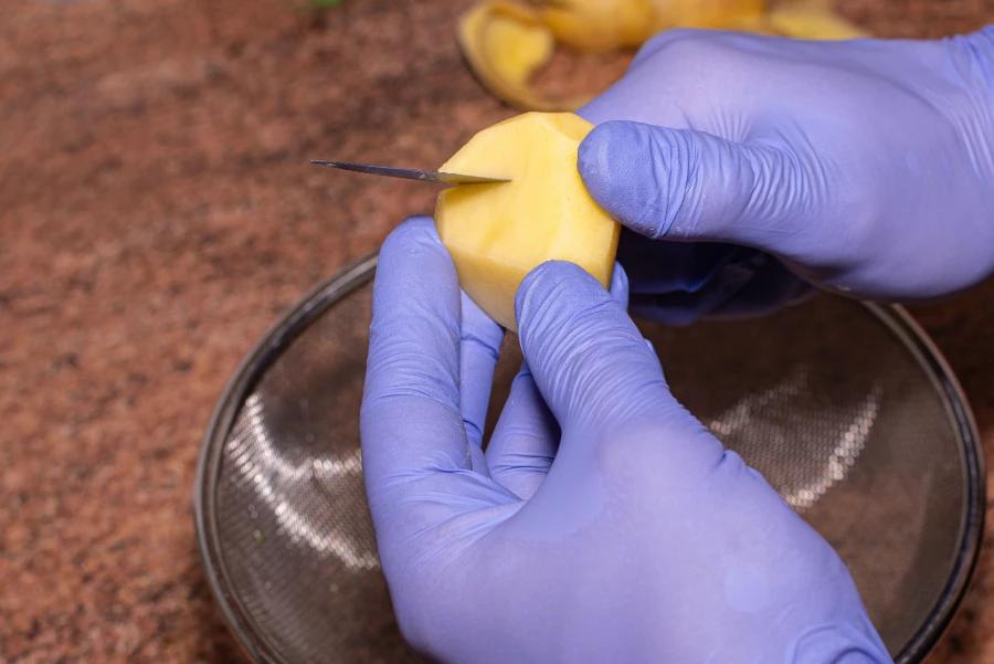 Cutting fruit with INTCO vinyl gloves for food preparation and safety.