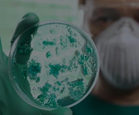 Life sciences and biotechnology industry