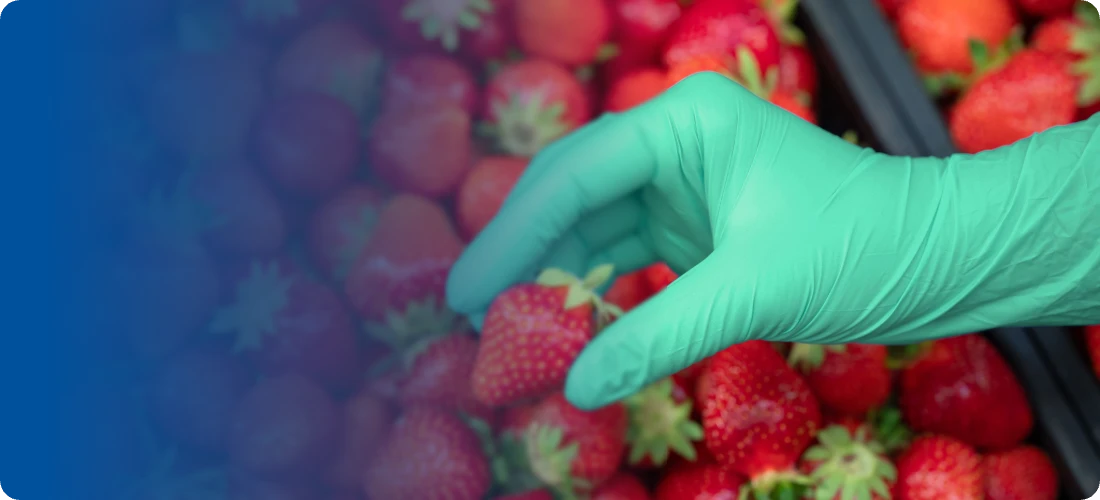 Food worker wearing ChemTuff gloves