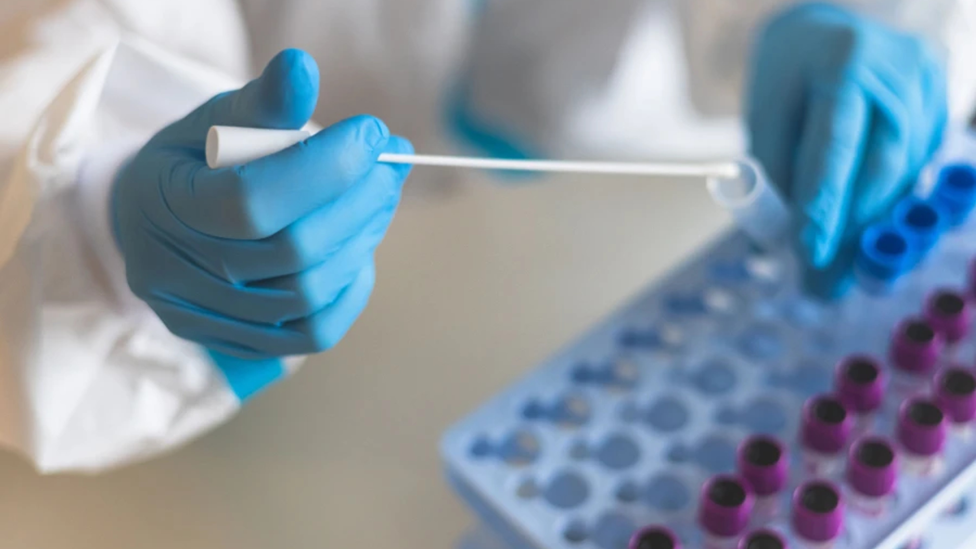 Disposable Gloves Manufacturer Guide: Capacity, Types and Applications Explained