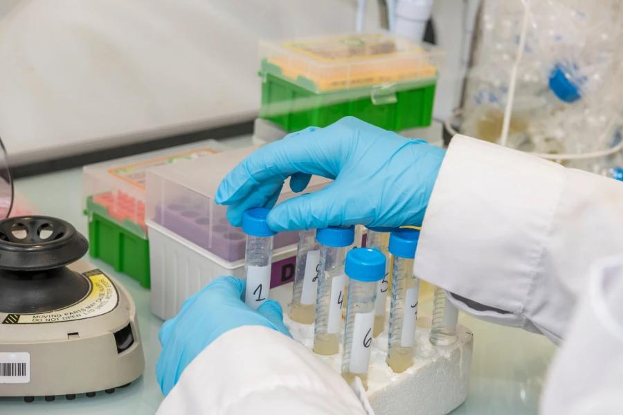 Non-Latex Disposable Gloves for laboratory sample handling and analysis.