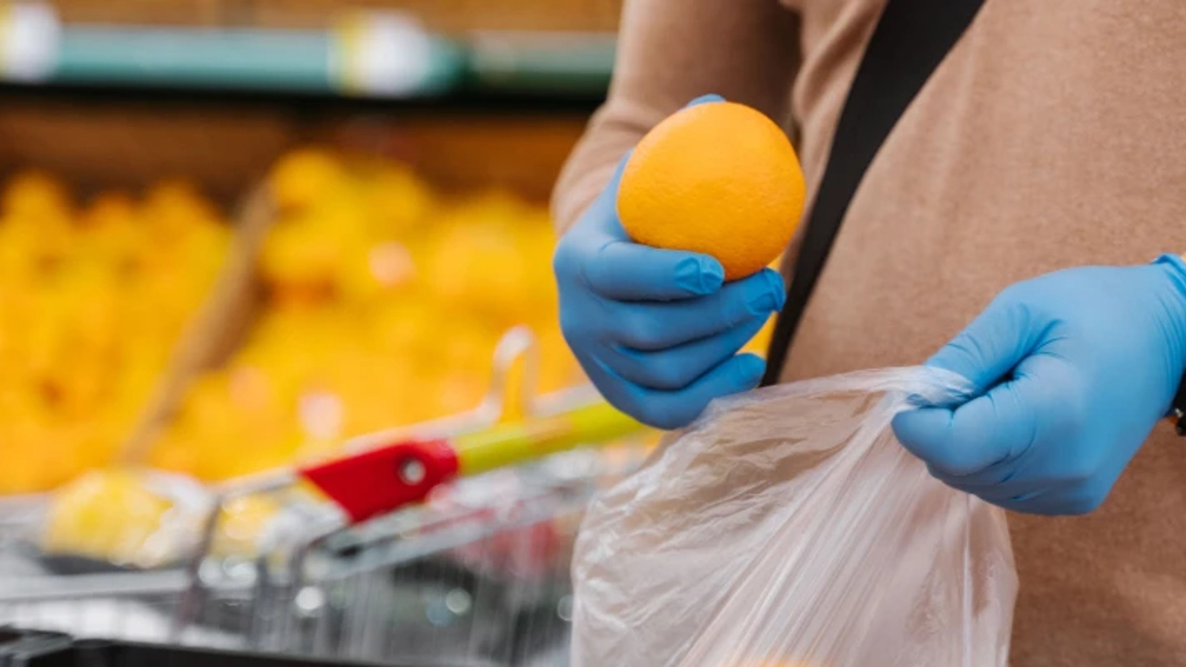 Colored Nitrile Gloves Product Options and Comparison Guide