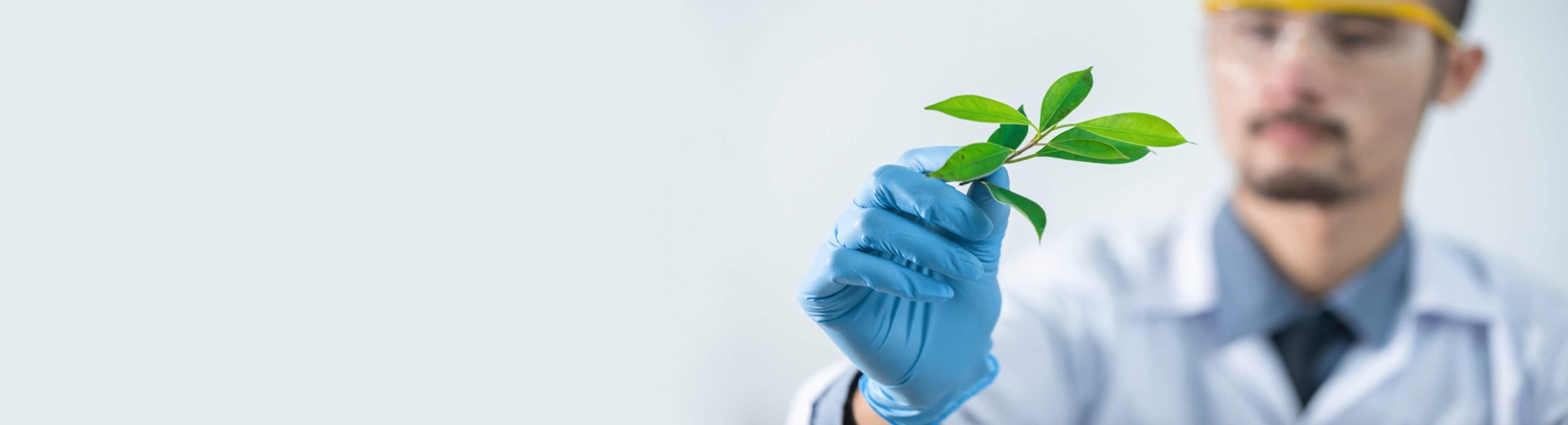 Life Sciences