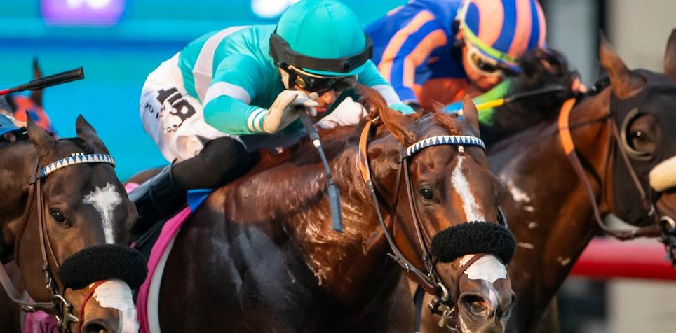 2024 Del Mar Debutante Stakes Preview