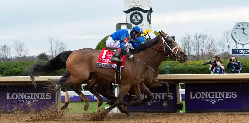Breeders' Cup Distaff Contenders | FanDuel Research