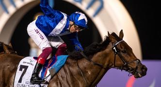 Horse Racing Best Bets for Thursday 10/19/23 Horse Racing Best Bets for Thursday 10/19/23