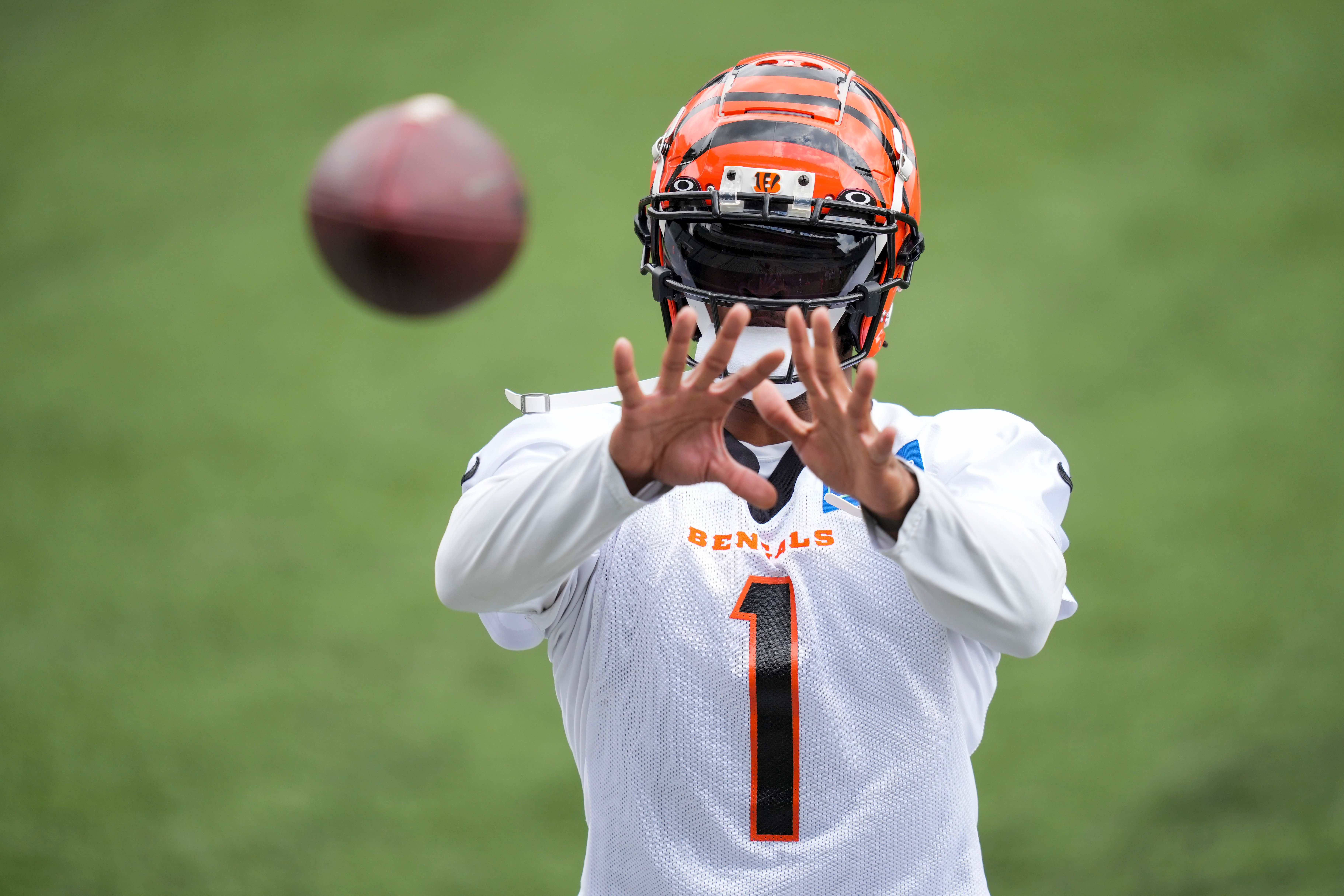 Cincinnati Bengals Odds To Win 2024 Super Bowl, Make Playoffs | FanDuel ...