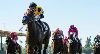 Horse Racing Best Bets for Wednesday 10/18/23
