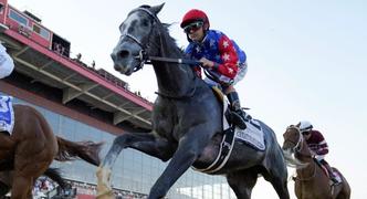 2024 Honeybee Stakes Betting Odds and Contenders Preview