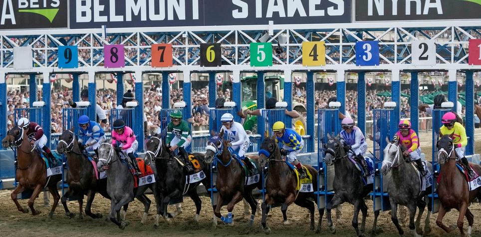 The Wine Steward: Belmont Stakes Horse Odds, History and Prediction