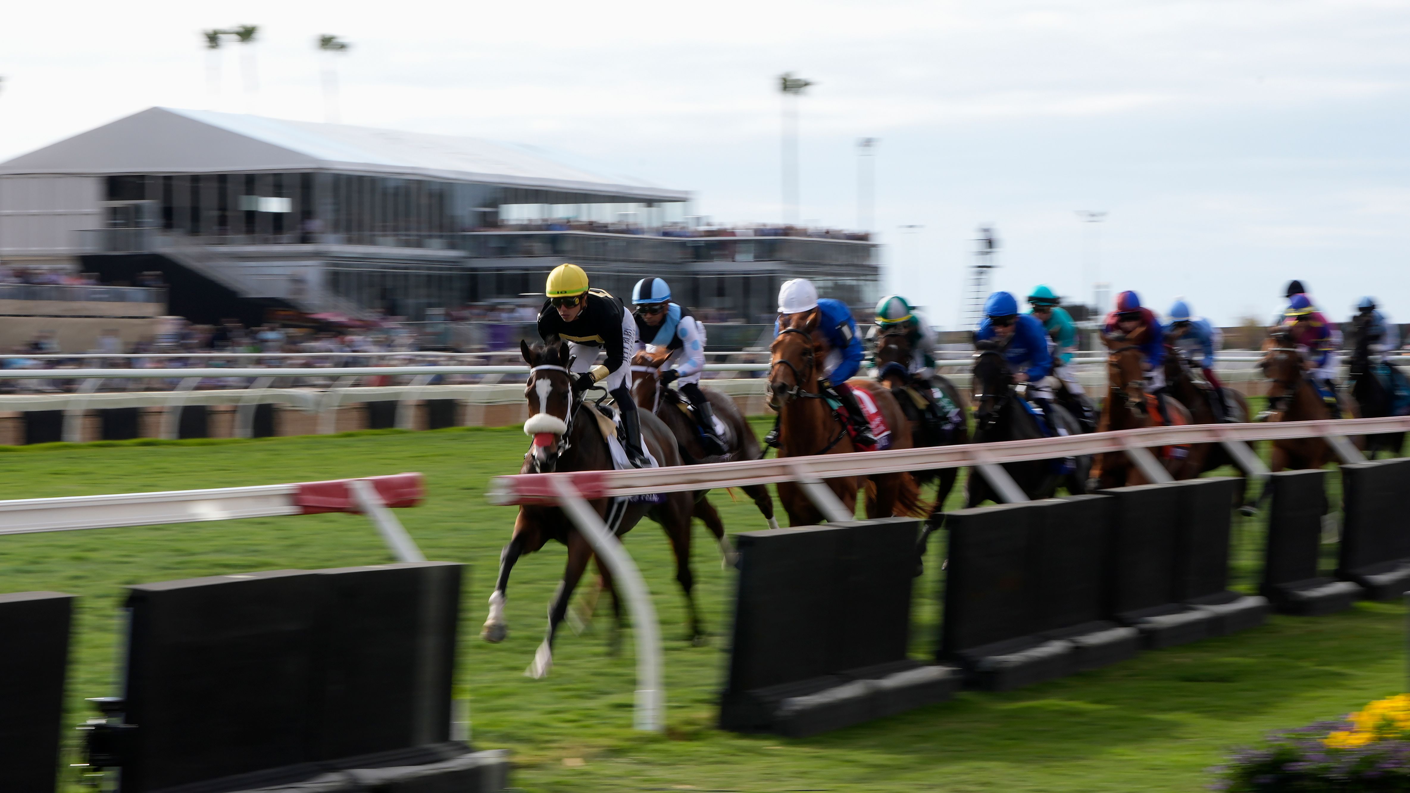 Who Won the 2024 Breeders' Cup Classic? Finishing Order, Payouts