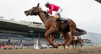 Horse Racing Best Bets for Thursday 9/7/23