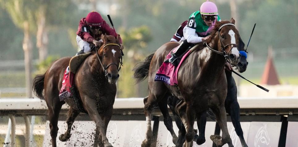 2024 Frizette Stakes Preview FanDuel Research