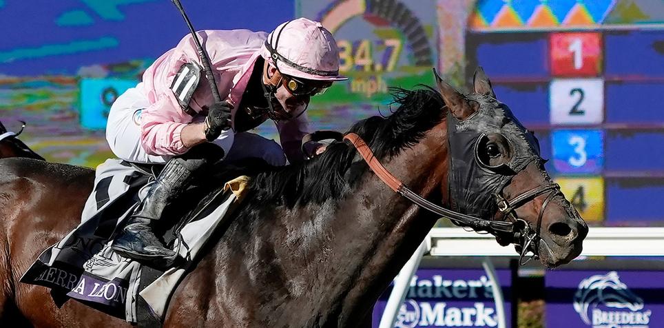 How to Watch Breeders' Cup 2025 Start Time, Post Times Schedule, TV