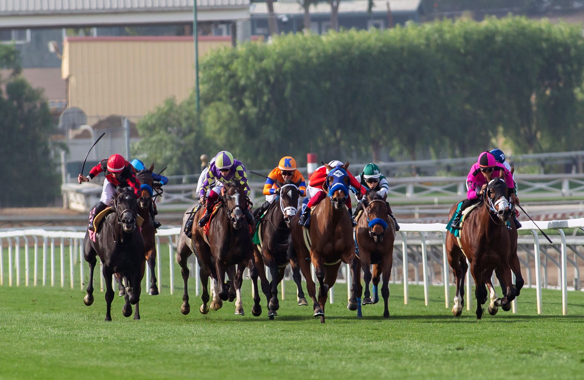 Horse Racing Best Bets For Wednesday 1/3/24 | FanDuel Research