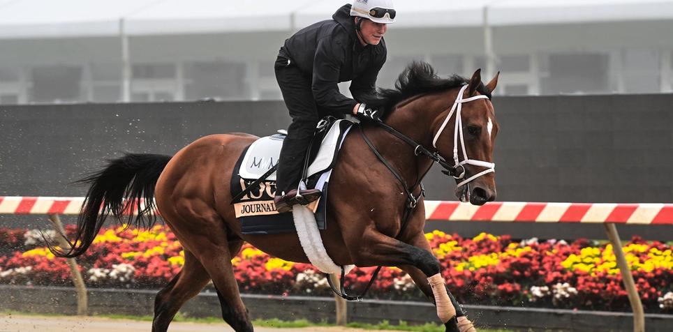 Journalism at Preakness Stakes