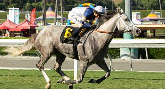 Horse Racing Best Bets for Tuesday 10/17/23
