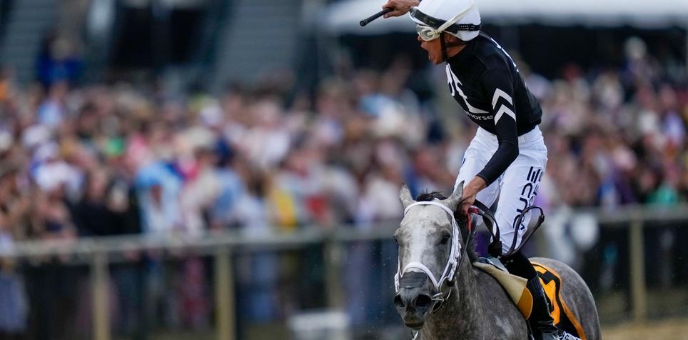 Seize the Grey: Belmont Stakes Horse Odds, History and Prediction