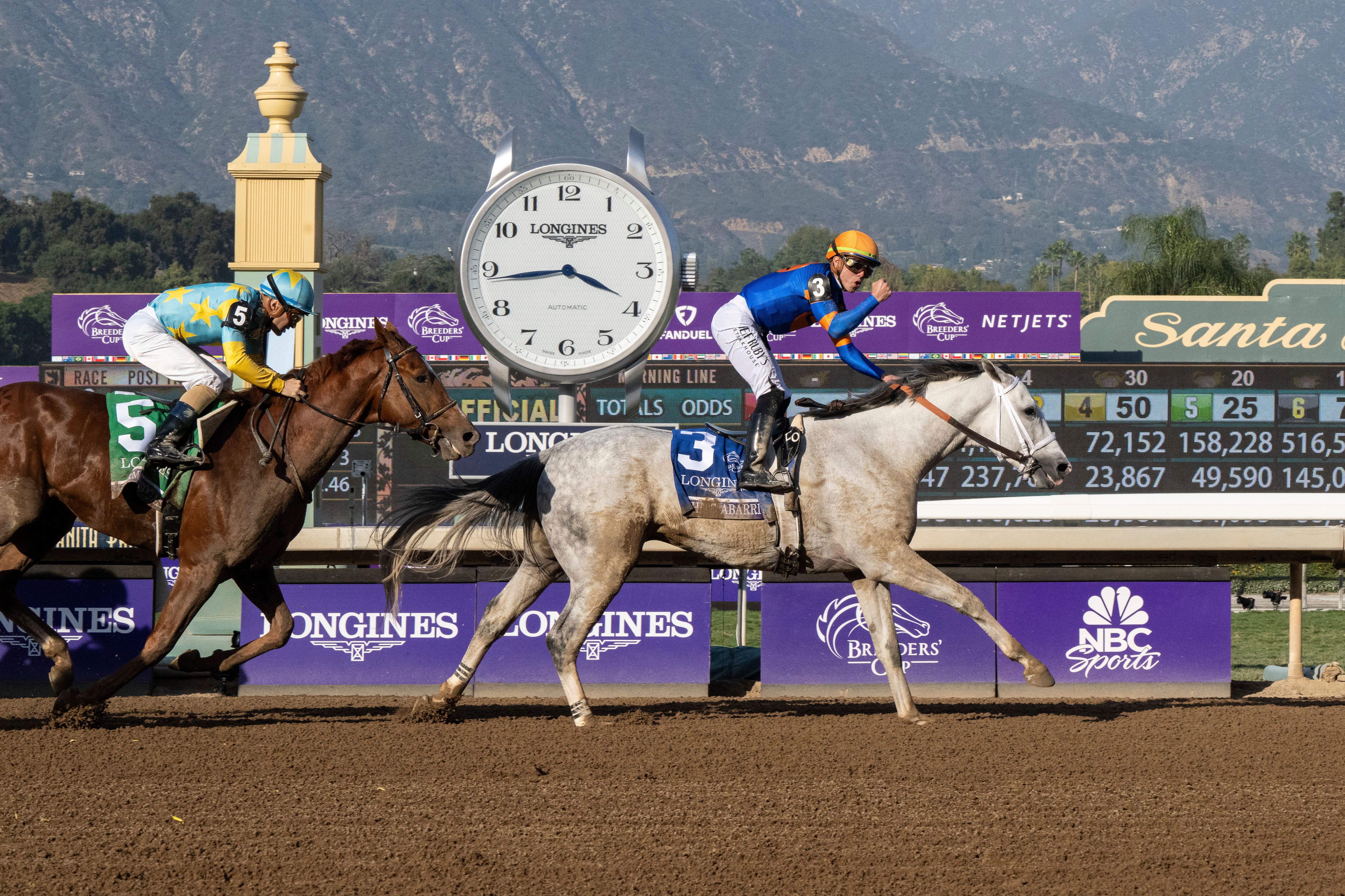 2024 Breeders' Cup – Top Picks for Day 2 | FanDuel Research