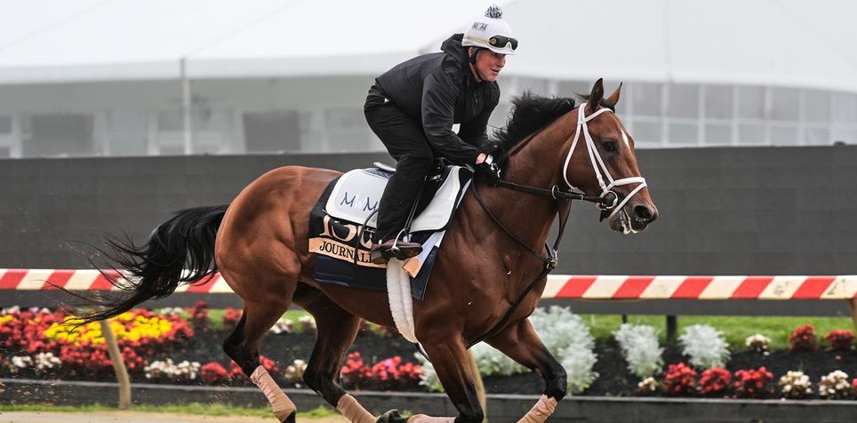 Which Horses Will Win Today: Expert Tips to Pick Winners