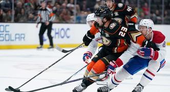 Avalanche vs Ducks Prediction, Odds, Moneyline, Spread & Over/Under for