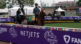 Best 2023 Breeders’ Cup Betting Bonus and Promo