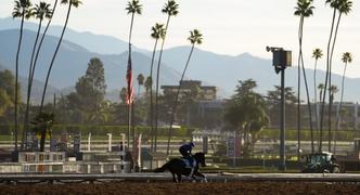 Best 2023 Breeders&rsquo; Cup Betting Bonus and Promo for Friday